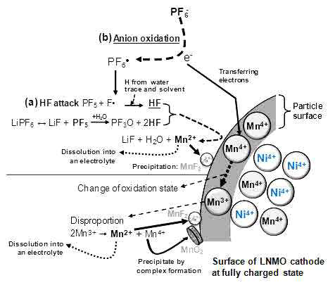 Schematic of Mn dissolution from the LNMO cathode during cycling