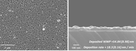 50℃에서 5분간 도금 된 NiWP의 표면 및 단면 SEM 분석