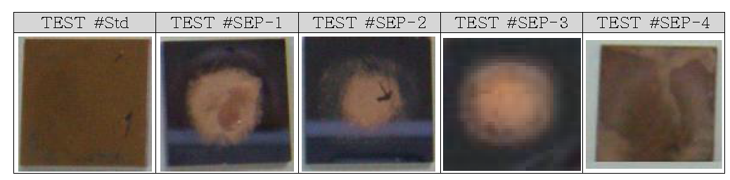 SE Cu plating Coupon Bare Wafer(No Trench) TEST