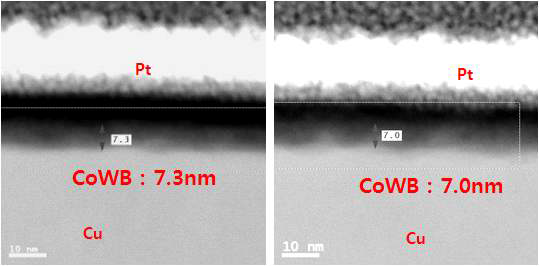 CoWB 도금피막의 두께