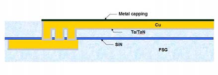 CoWB Metal capping을 이용한 EM test wafer 적층 개략도