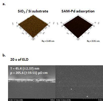 (a) SAM-Pd 활성화 과정 전 후의 SiO2 기판 표면 형상 (b) 이 위에 무전해 도금으로 형성된 Ni-합금막