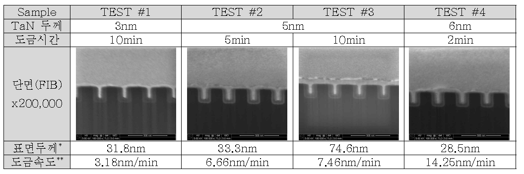 TaN 두께 및 무전해 Cu 도금 시간에 따른 도금양상