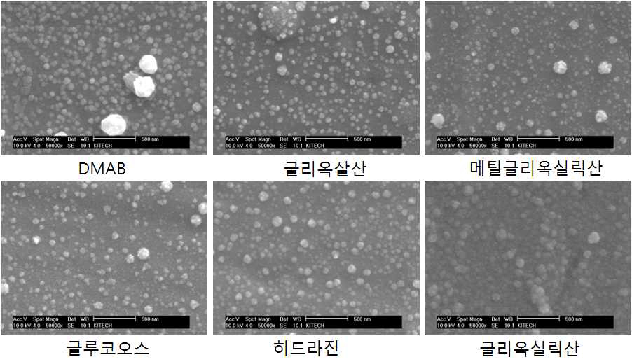 환원제 변화에 따른 도금피막형상