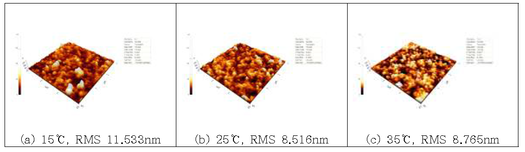 온도에 따른 단면 이미지 (0.5 ASD)