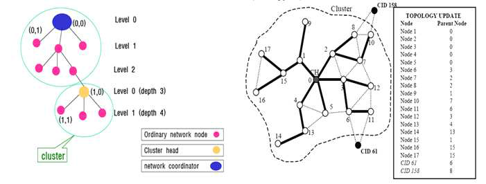 Cluster Tree Structure