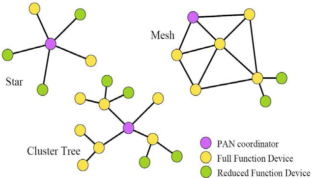 Network Topology