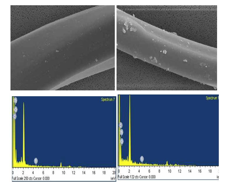 SEM-EDX image in Titanium contain products