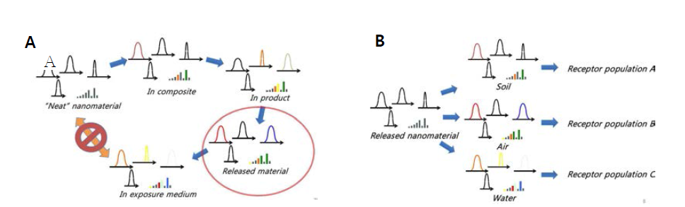 나노물질의 제조 사용단계에 따른 분포변화(A) 및 환경 매체 노출 경로에 따른 독성의 변화(B)