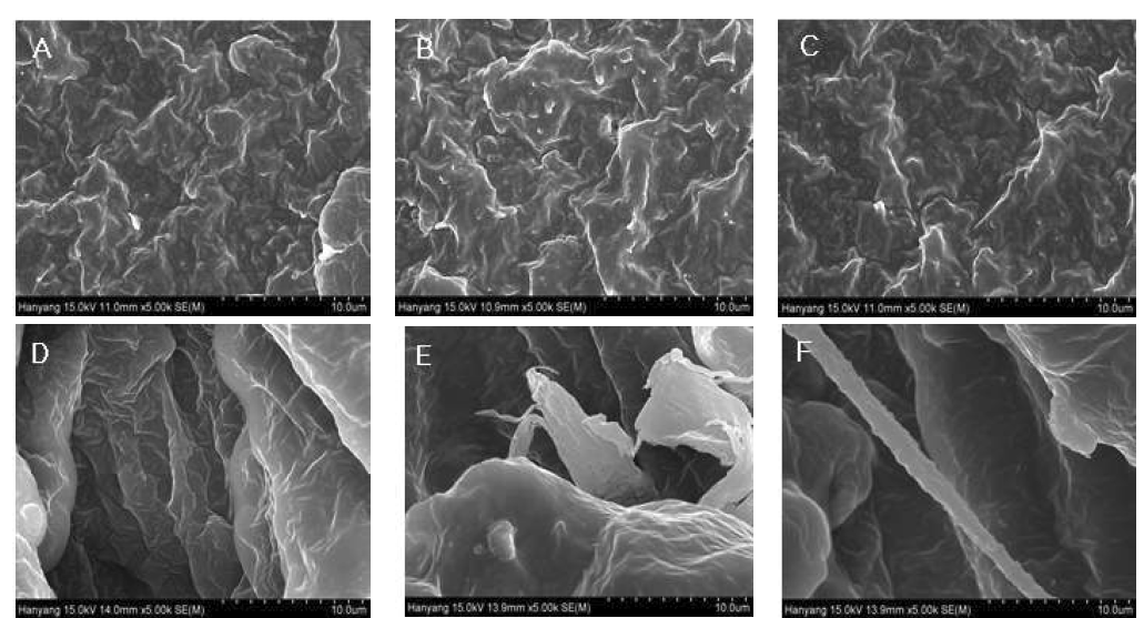 CNT 카본 나노튜브 전도성 골무에 abrasion machine을 이용해서 마모 후 FE-SEM 분석 비노출 전도성 골무 (A, B, C); 5분 마모 노출 후 전도성 골무 (D, E, F)