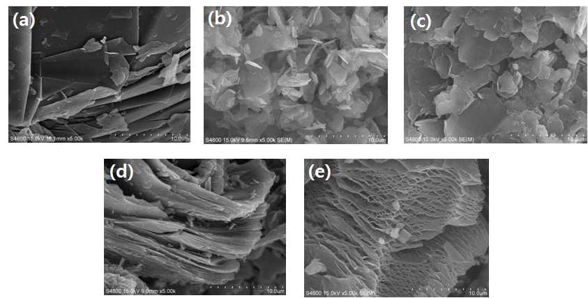 천연흑연 (a), KS6 (b), MAG (c), Coke (d) 및 EC (e)의 SEM 사진