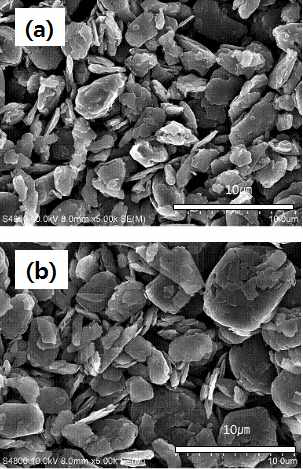 분쇄된 천연흑연(a) 및 비정질 탄소가 코팅된 천연흑연(b)의 SEM 분석