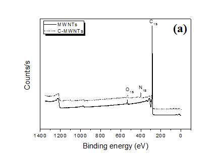 폴리아닐린 탄화처리 후 탄소나노튜브의 XPS 곡선
