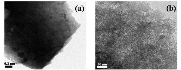 N-doped microporous carbon의 TEM 이미지