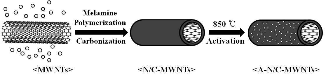 N-doped microporous carbon/MWNTs 제조 과정