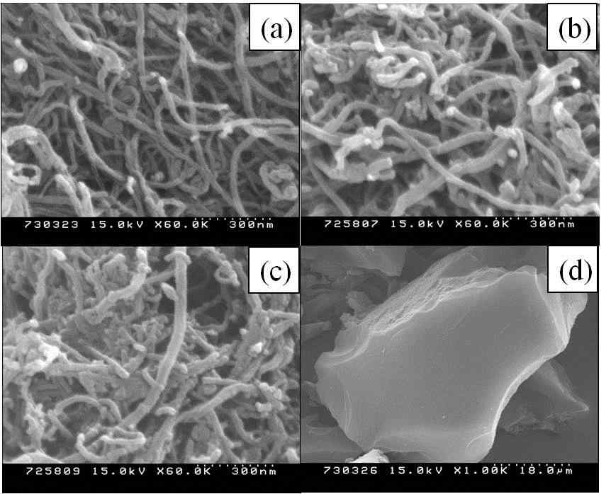 MWNTs(a), N-doped carbon/MWNTs(b), N-doped microcarbon /MWNTs(c), 그리고 melamine-based carbon(d)