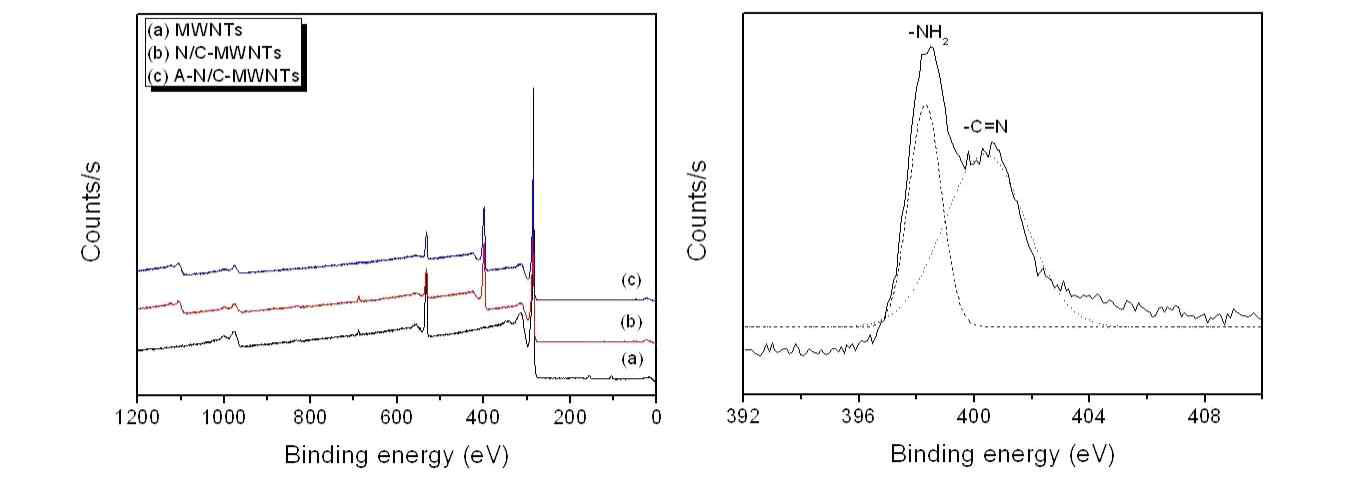 MWNTs, N-doped carbon/MWNTs, N-doped microcarbon/MWNTs의 XPS 결과