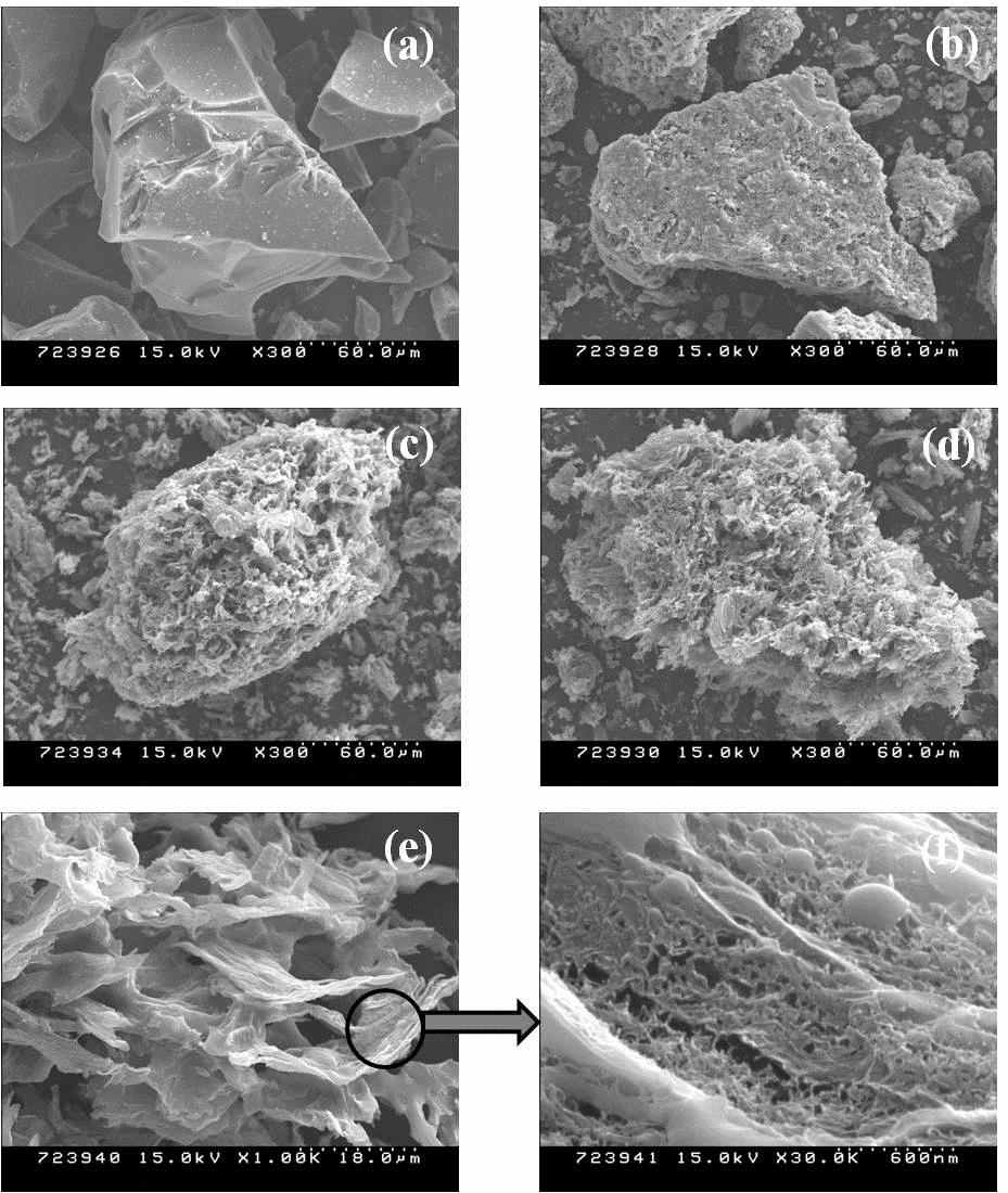 멜라민 함량에 따라 제조된 N-doped graphitic carbon의 SEM 이미지