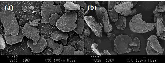 (a) Graphites (b) LiNO3-N-Graphites 의 SEM 이미지.