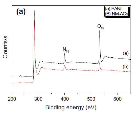 PANI와 NM-ACs의 XPS 결과.