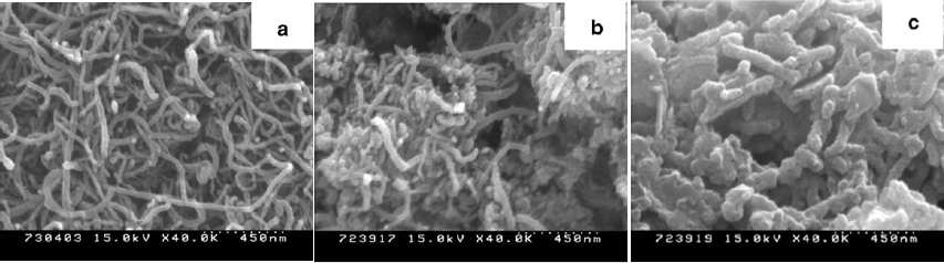 MWNTs, MnO2-MWNTs, PANI/MnO2-MWNTs 의 SEM 이미지.