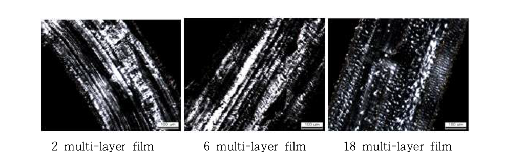 편광현미경을 투과모드로 하여 배율 10X로 multi-layer film을 관찰