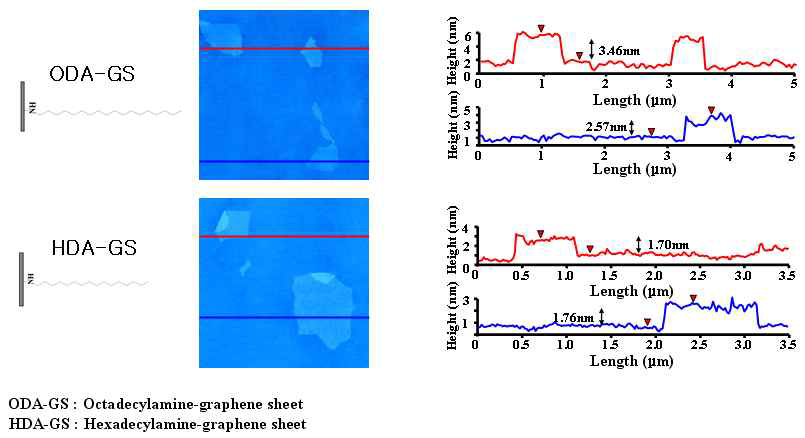 A non-contact mode AFM image of functionalized-GS sheets with two height profiles acquired in different locations.