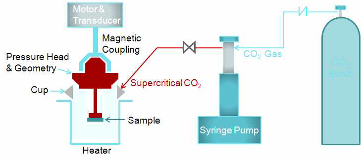 Schematic diagram of pressure cell.