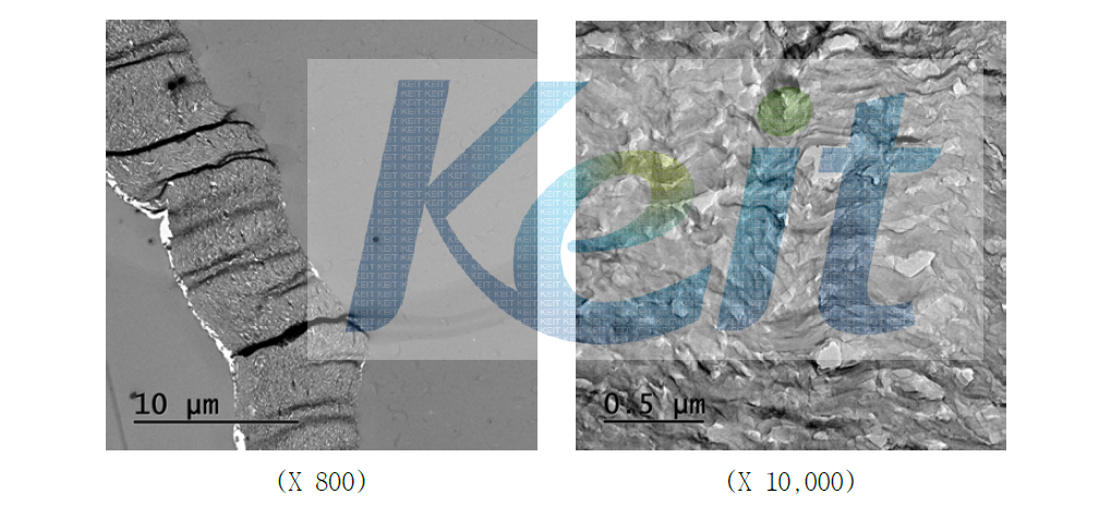 PVDC/HDA (10wt%) 샘플의 FE-TEM 단면 사진.