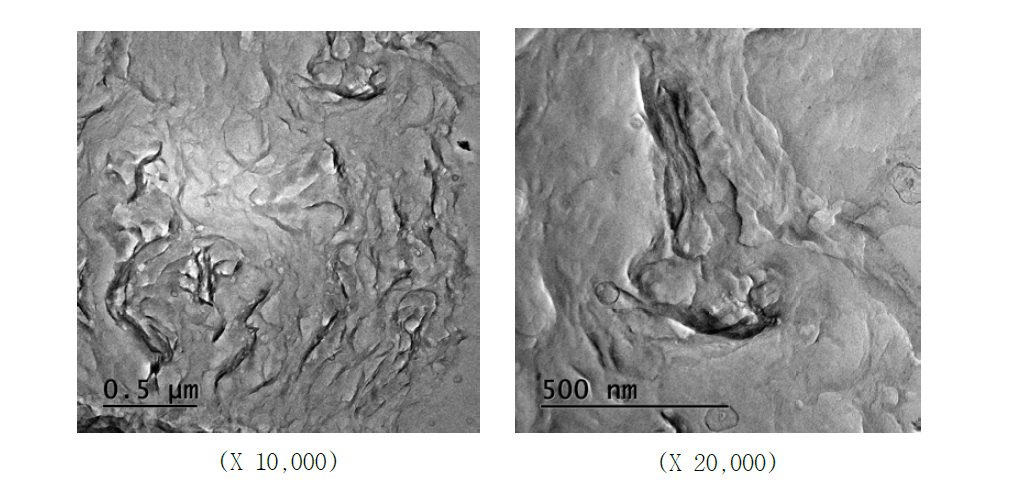 PVDC/ODA (10wt%) 샘플의 FE-TEM 단면 사진.