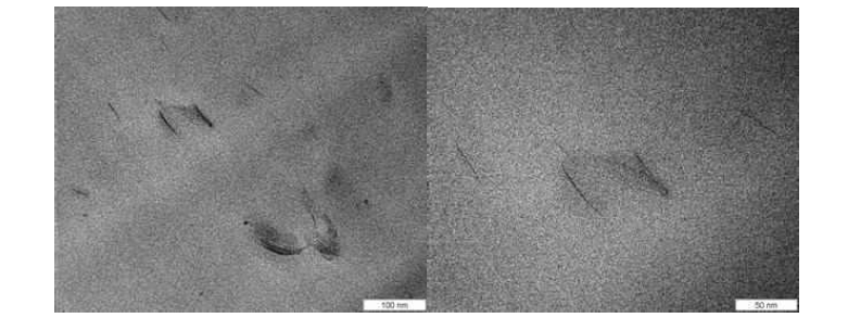 MPET/3wt% closite 93A의 습열처리 전 TEM사진
