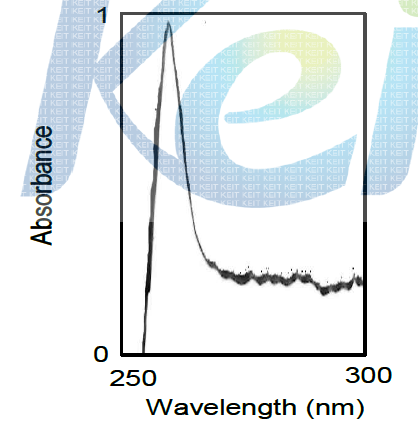 3E8 항체의 분광학적 특성 분석