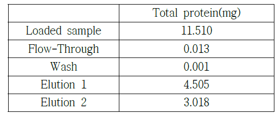 Protein A 친화력 chromatography를 이용한 3E8 정제 결과: 수율