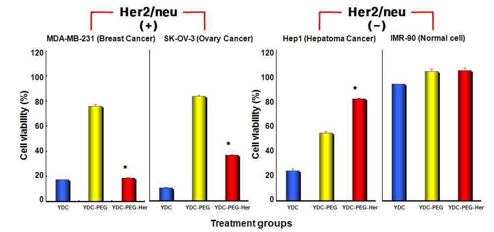 Ad-PEG-HER의 Her2/neu 발현 특이적 암세포 살상능 검증