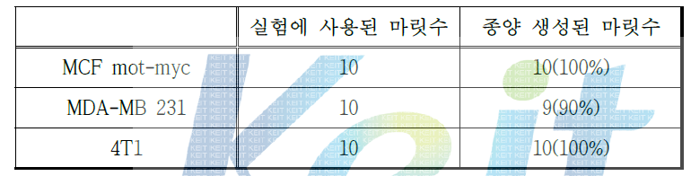 동소 이식 모델 및 전이암 모델 재현 및 반복성 정도