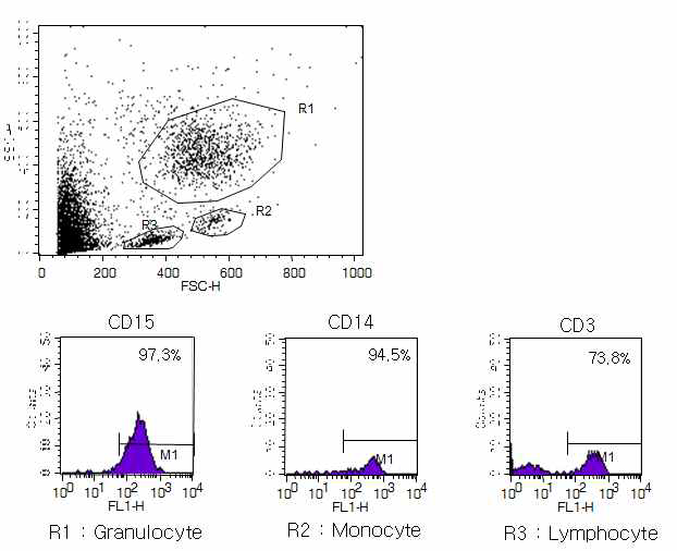 Granulocyte(R1), monocyte(R2), lymphocyte(R3)의 분포