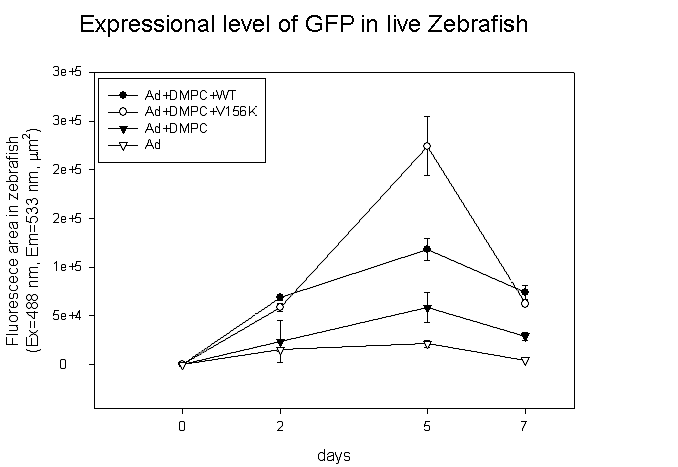 Comparison of the level of GFP expression in adult zebrafish