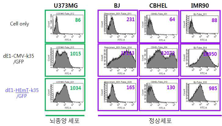 암세포주와 정상 세포주들에서 CMV 또는 HEmT 재조합 프로모터에 의해 GFP가 발현되는 아데노바이러스에 의한 유전자 전달 효율 비교(박스안의 숫자는 mean fluorescence intensity임)