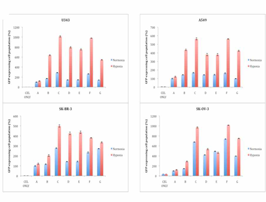 여러 가지 암세포주에서 E2F 프로모터, HIF-1α 또는 HIF-2α 결합부위, ELK1 결합부위가 재조합된 프로모터에 의한 GFP 발현량 비교