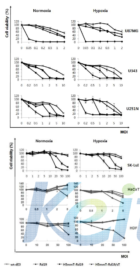 정상 산소 조건과 저산소 조건에서 stTRAIL을 발현하는 종양 선택적 살상 아데노바이러스에 의한 세포 살상 효과(MTT assay)