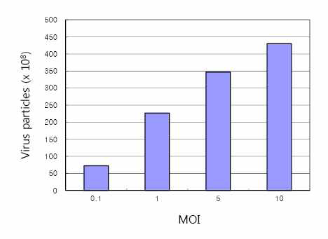 아데노바이러스 titer에 따른 생산성 비교