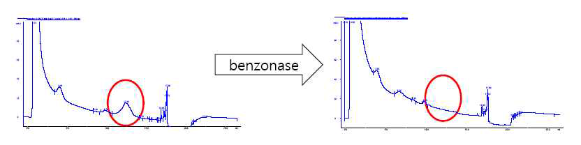 Benzonase 처리를 통한 DNA 제거