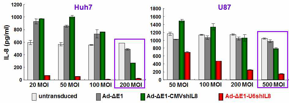 shIL8를 발현하는 복제불능 아데노바이러스에 의한 IL-8 발현 억제능 검증