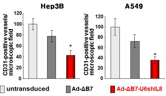 shIL8을 발현하는 종양 선택적 살상 아데노바이러스를 투여한 경우의 신생혈관억제능의 관찰
