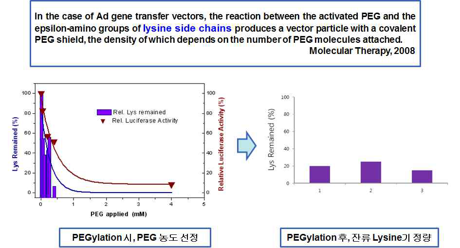 PEGylation 후 잔존하는 lysine기 분석