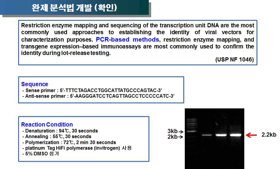 PCR을 이용한 Nanocomplex 확인시험법 개발