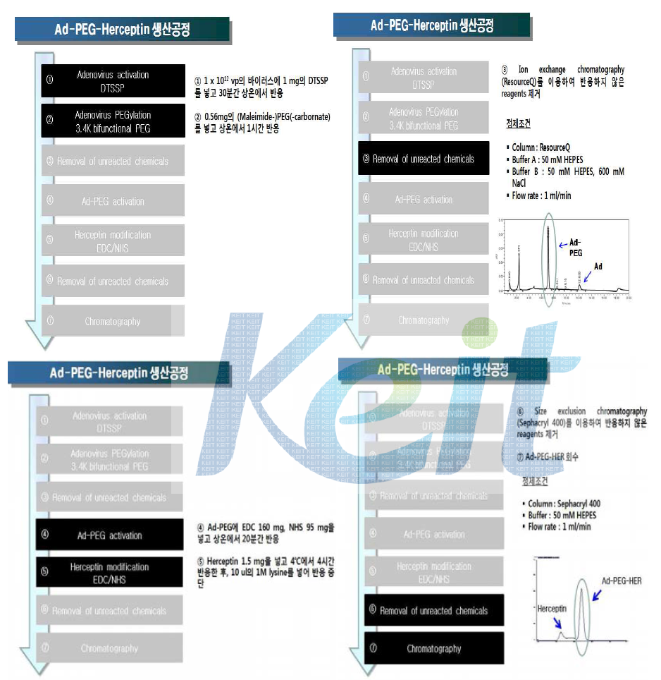 Ad-PEG-Herceptin 나노복합체 대량 생산공정 개발