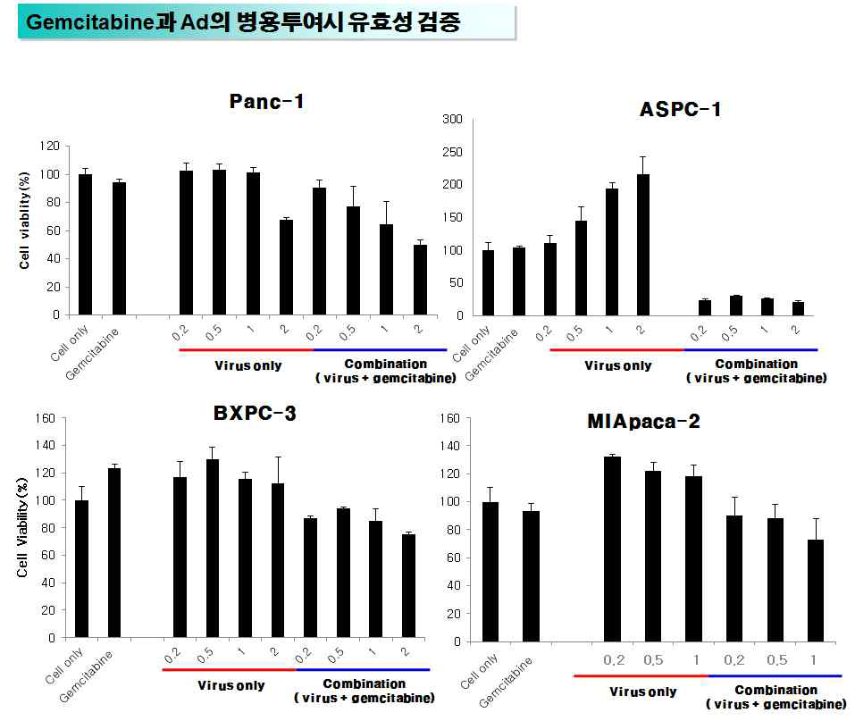 항암제와의 병용치료법의 최적화 조건 확립 및 생체외 항종양 효과 검증