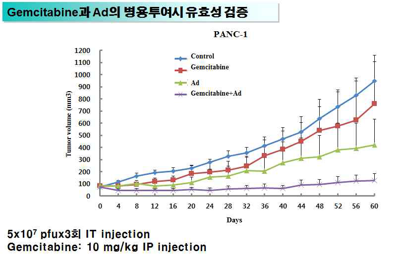 panc-1 종양 모델에서 gemcitabine과 아데노바이러스의 단독 투여 또는 병용투여에 의한 항종양 효과 비교