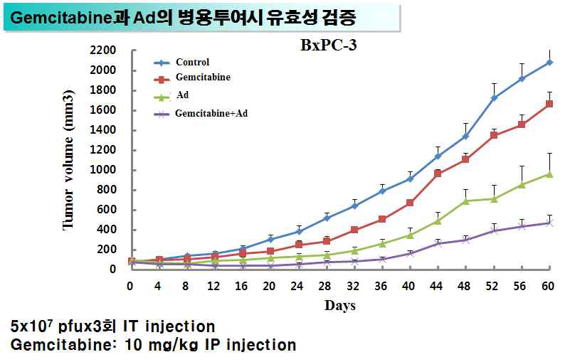 BXPC-3 종양 모델에서 gemcitabine과 아데노바이러스의 병용투여에 의한 항종양 효과 비교